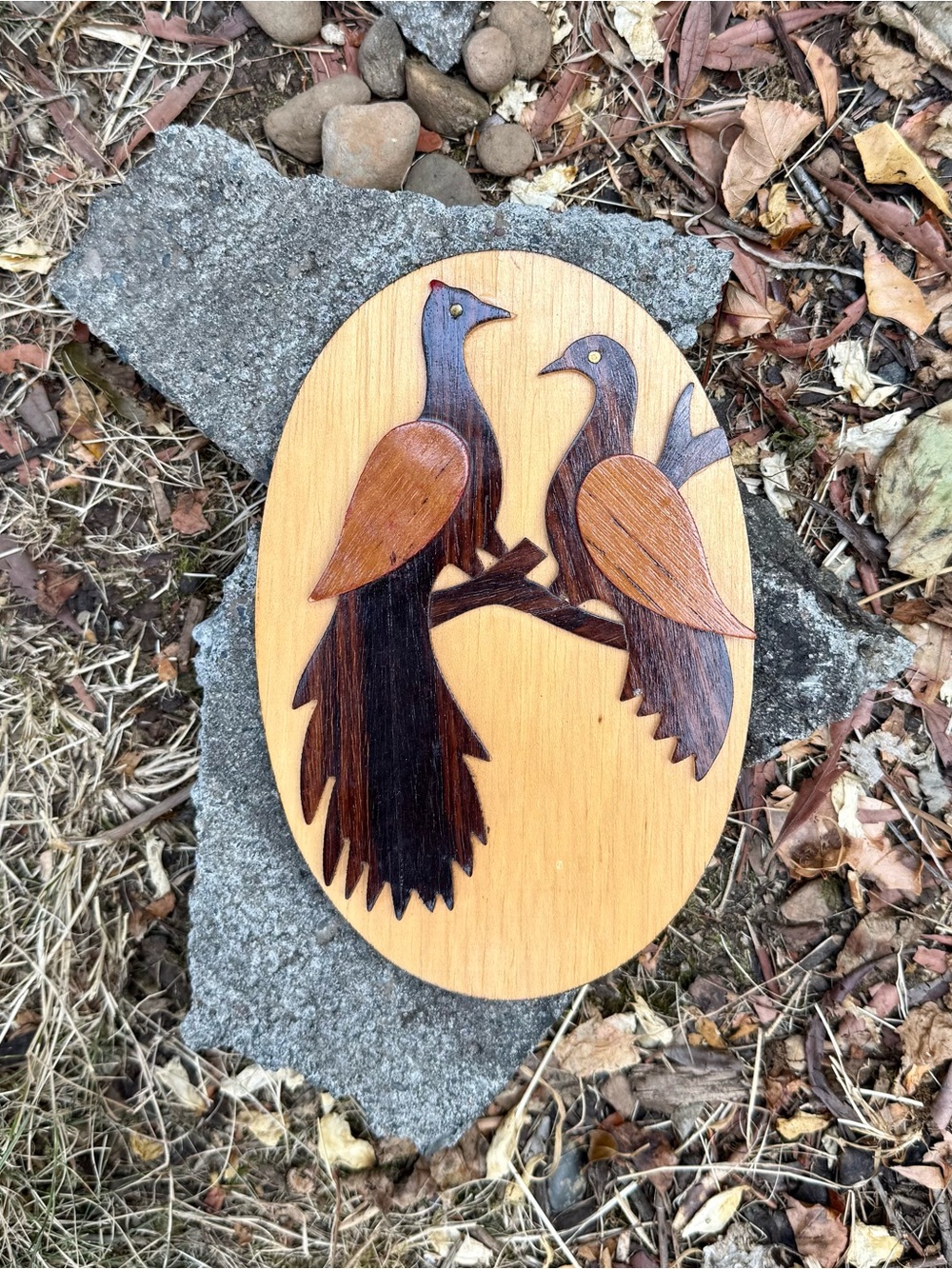Wooden Bird Wall Art Plaque - Brown/Tan